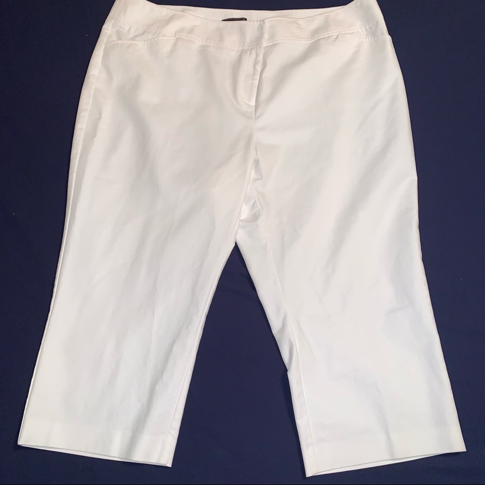 Classic, Minimalist Dana Buchman Flat Front Cropped Pant White Size 24W